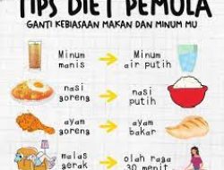 Panduan Lengkap: Checklist Wajib Nutrisi Harian yang Cocok untuk Pemula agar Hidup Lebih Sehat dan Berenergi