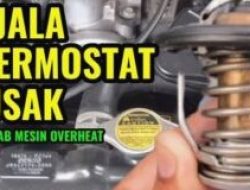 Kenali Tanda Tanda Thermostat Mobil Rusak dan Cara Mengatasinya