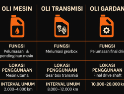 Perbedaan Oli Gardan dan Oli Mesin: Apakah Boleh Ditukar? Panduan Lengkap Pelumas Kendaraan