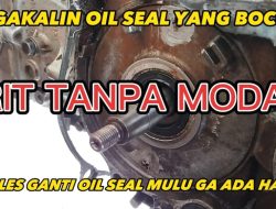 Tanda Tanda Oil Seal Mesin Bocor: Gejala, Penyebab, dan Cara Mengatasinya
